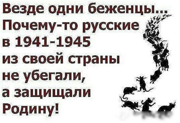 Везде одни беженцы и Почему то русские в 1941 1945 из своей страны не убегали Ё а защищали Родину