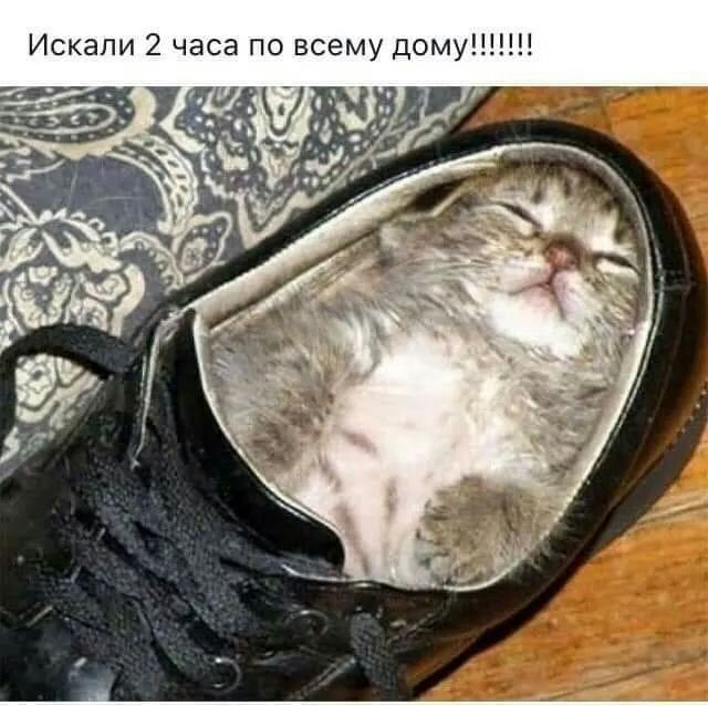 Искали 2 часа по всему дому