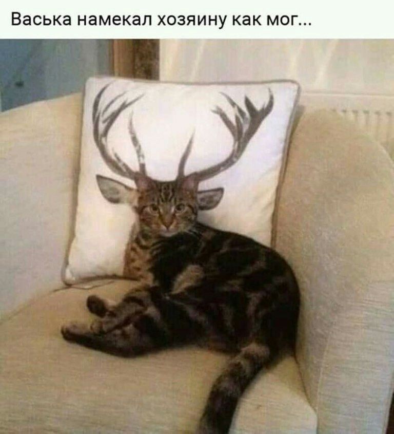 ВЭСЬКЭ намекал ХОЗЯИНУ КЭК МОГ