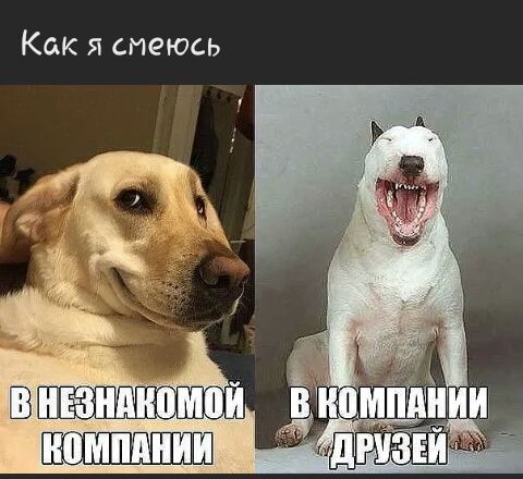 Как я смеюсь