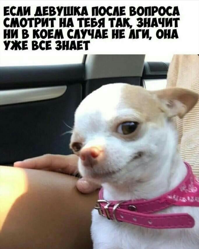 ЕСЛИ ЛЕВУШКА ПОСЛЕ ВОПРОСА СМОТРИТ А ТЕБЯ ТАК ЗНАЧИТ И В КОЕіЛ СЛУЧАЕ Е ЛТИ ОНА УЖЕ ВСЕ ЗНАЕТ
