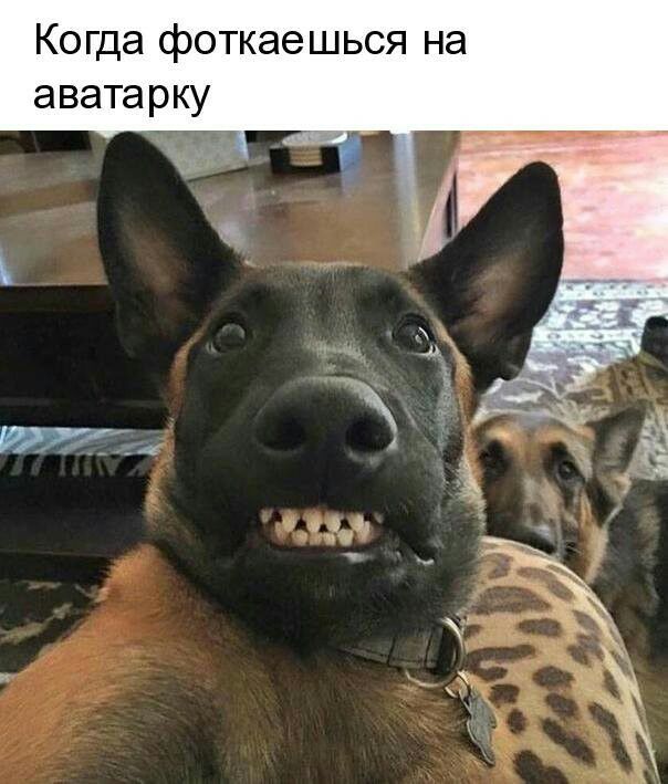 Когда фоткаешься на аватарку в а