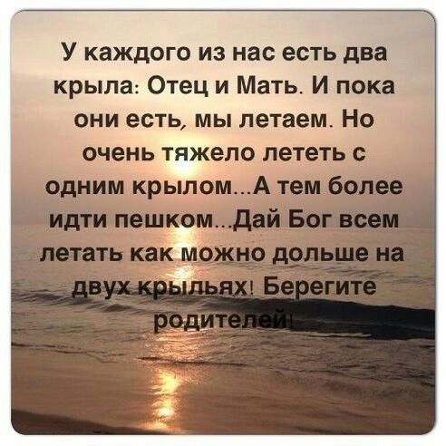 У каждого из нас есть два крыла Отец и Мать И пока они есть мы летаем Но очень тяжело лететь одним крылом А тем 6013 и пешком дай в как