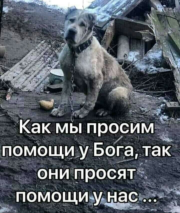 _ ПОМ ОЩИчУ НЭСЁ 3