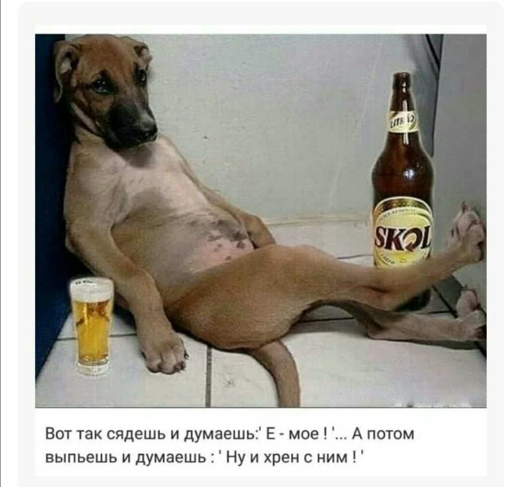 Вот так сядешь и думаешь Е мое А потом выпьешь и думаешь Ну и хрен с ним