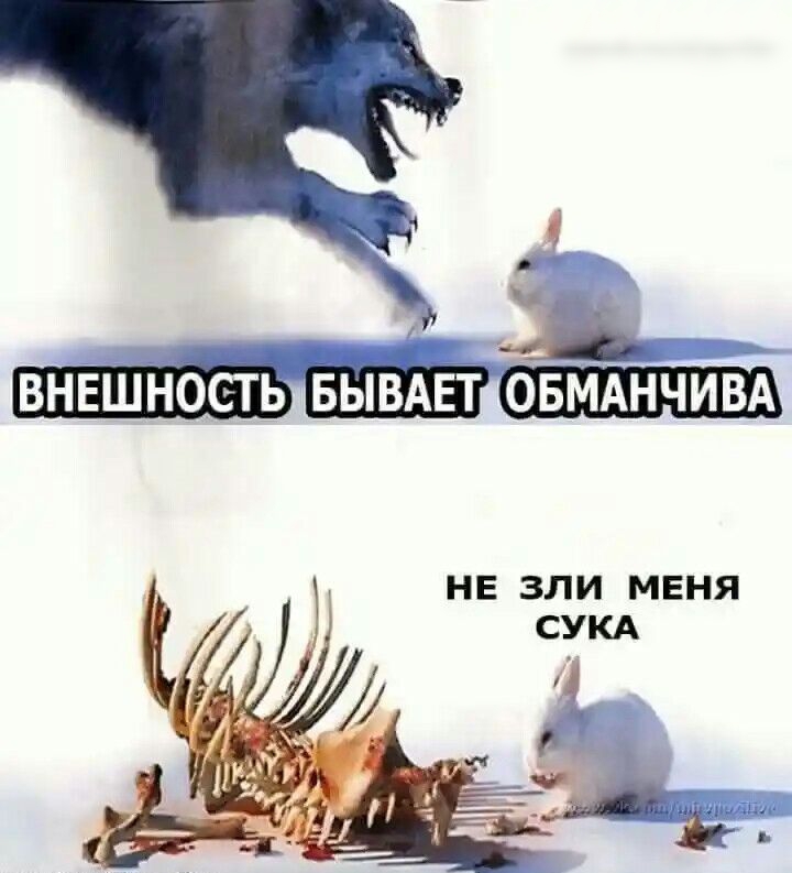 г внвшность БЫВАЕТ ОБМАНЧИВА НЕ ЗЛИ МЕНЯ
