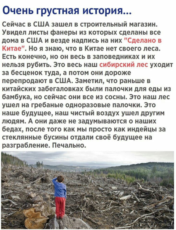 Очень грустная история Сейчас в США зашел в строительный магазин Увидел листы фанеры из которых сделаны все дома в США и везде надпись на них _ Но я знаю что в Китае нет своего леса Есть конечно но он весь в заповедниках и их нельзя рубить Это весь наш уходит за бесценок туда а потом они дороже перепродают в США Заметил что раньше в китайских забегаловках были палочки для еды из бамбука но сейчас 