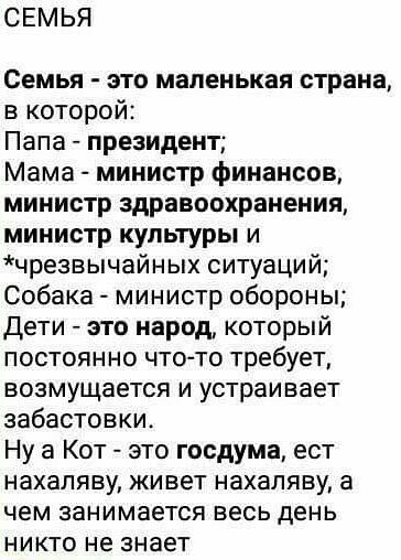 СЕМЬЯ Семья это маленькая страна в которой Папа президент Мама министр финансов министр здравоохранения министр культуры и чрезвычайных ситуаций Собака министр обороны Дети это народ который постоянно что то требует возмущается и устраивает забастовки Ну а Кот это госдума ест нахаляву живет нахаляву а чем занимается весь день никто не знает