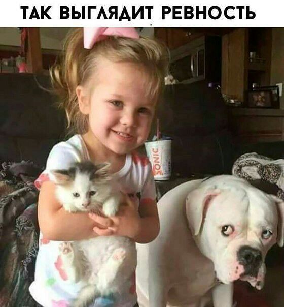 ТАК ВЫГАЯАИТ РЕВНОСТЬ