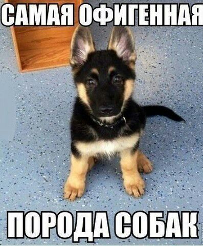 _ _ и ц _ погоди _ _