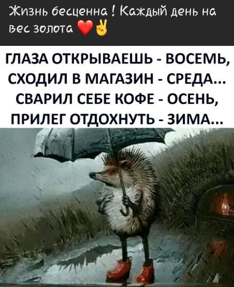 Жизнь бешенно Каждый день на гьес золота ГЛАЗА ОТКРЫВАЕШЬ ВОСЕМЬ СХОДИЛ В МАГАЗИН СРЕДА СВАРИЛ СЕБЕ КОФЕ ОСЕНЬ ПРИЛЕГ ОТДОХНУТЬ ЗИМА ы