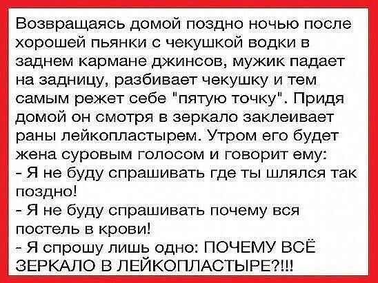 Возвращаясь домой поздно ночью после хорошей пьянки с чекушкой водки в заднем кармане джинсов мужик падает на задницу разбивает чекушку и тем самым режет себе пятую точку Придя домой он смотря в зеркало заклеивает раны лейкопластырем Утром его будет жена суровым голосом и говорит ему Я не буду спрашивать где ты шлялся так поздно Я не буду спрашивать почему воя постель в крови Я спрошу лишь одно ПО