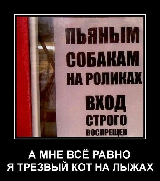 пБпным помним ШЮд строю ВЩЁПРЕЩШ А МНЕ ВСЁ РАВНО Я ТРЕЗВЫЙ КОТ НА ЛЫЖАХ