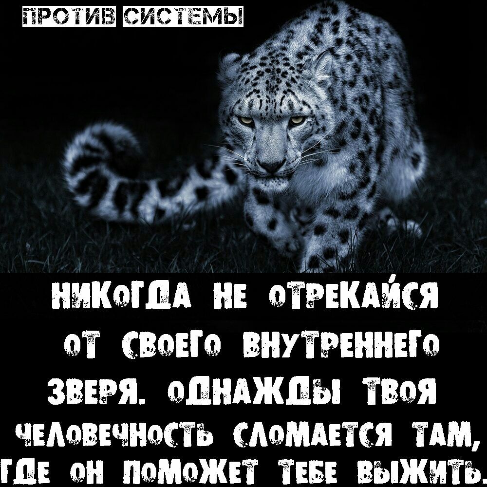 ЁЁРЗ ЕЦИБЗЁ Дж нмкмшх нв этикъяся сыне внутмннвю ЗВЕЁЯ ЦНАЖЦЫ ЁШЬЯ чвмвшнмтъ пишется ТАМ Ш эн тшюжвт ТЕБЕ выжмтъ