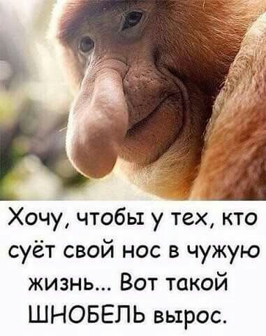 Хочу чтобы у тех кто суёт свой нос в чужую жизнь Вот такой ШНОБЕЛЬ вырос