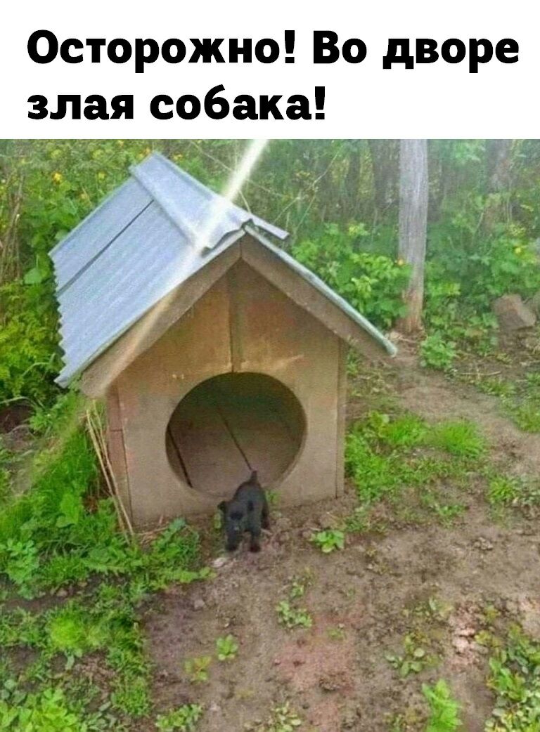 Осторожно Во дворе злая собака