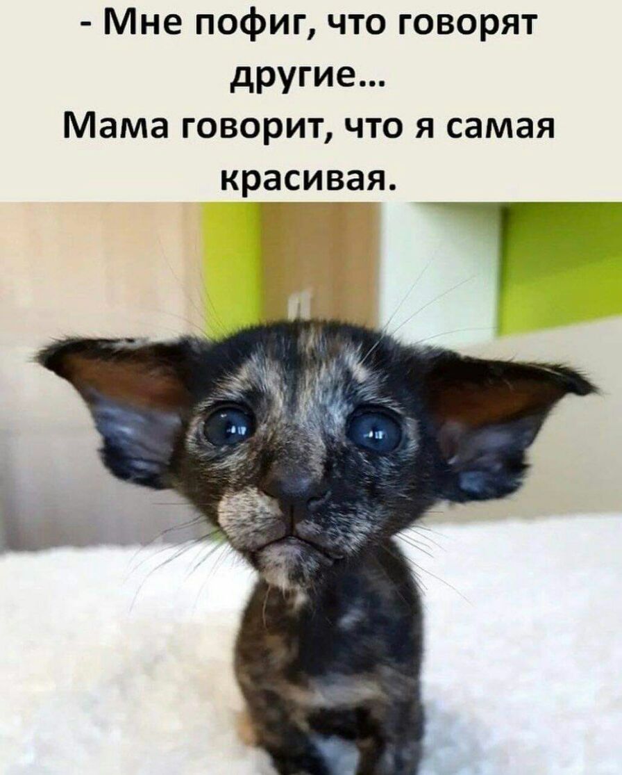 Мне пофиг что говорят другие Мама говорит что я самая красивая Г _ Т