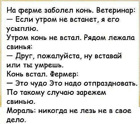 На ферме заболел конь Ветеринар Если утром не встанет я его усыплю Утром конь не встал Рядом лежала свинья Друг пожалуйста ну вставай или ты умрешь Конь встал Фермер Это чудо Это надо отпраздновать По такому случаю зарежем свинью Мораль никогда не лезь не в свое дело