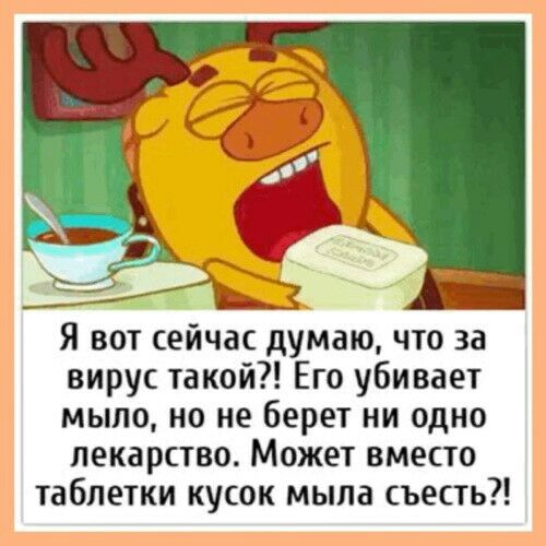 вирус такой Его убивает мыпо но не берет ни одно лекарство Может вместо таблетки кусок мыла съесть
