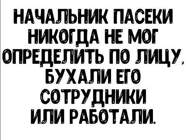 НАЧАЛЬНИК ПАСЕКИ НИКОГДА НЕ МОГ ОПРЕДЕЛИТЬ ПО ЛИЦУ БУХАЛИ ЕЮ СОТРУДНИКИ ИЛИ РАБОТАЛИ