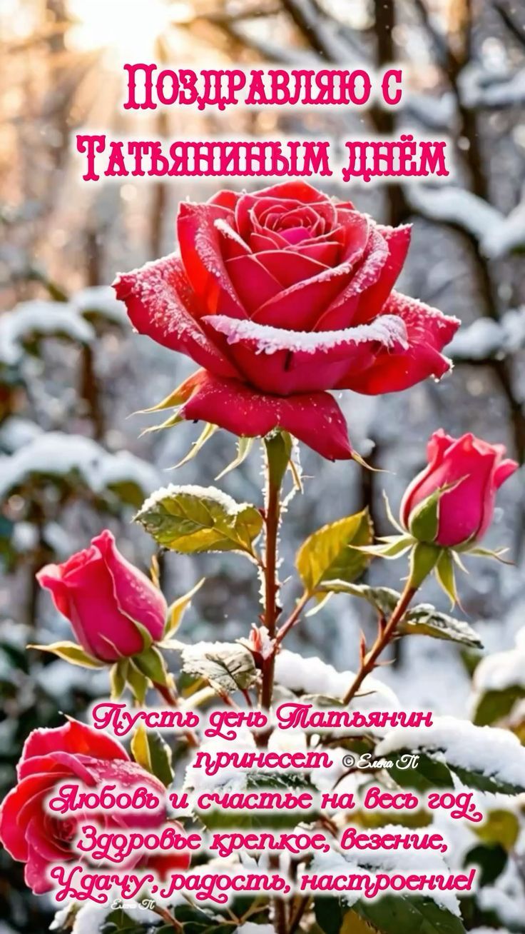 Поздравляю с Татьяниным днём Пусть день Татьянины принесет Любовь и счастье на весь год, Здоровье крепкое, везение, Удачу, радость, настроение!