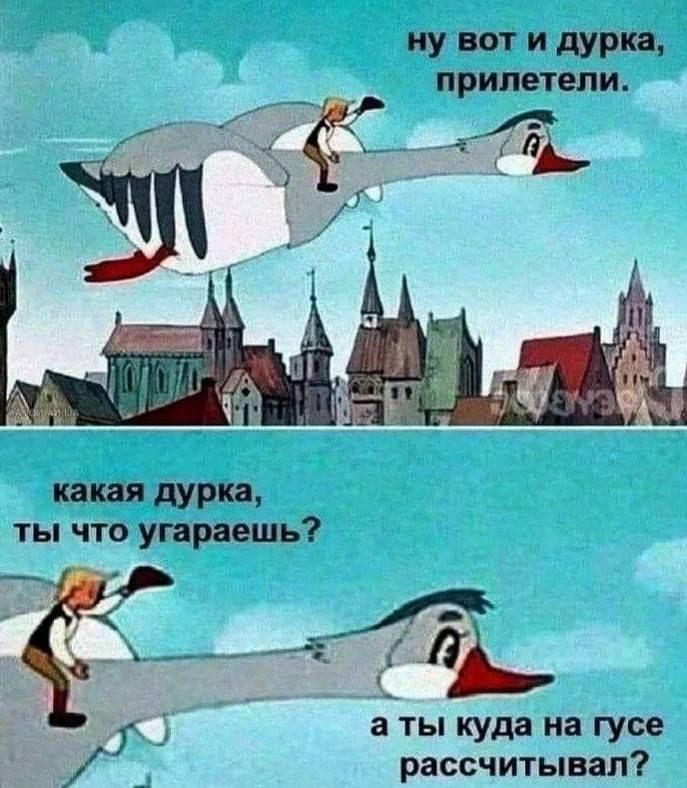 ну вот и дура, прилетели. какая дура, ты что угараешь? а ты куда на гусе рассчитывал?