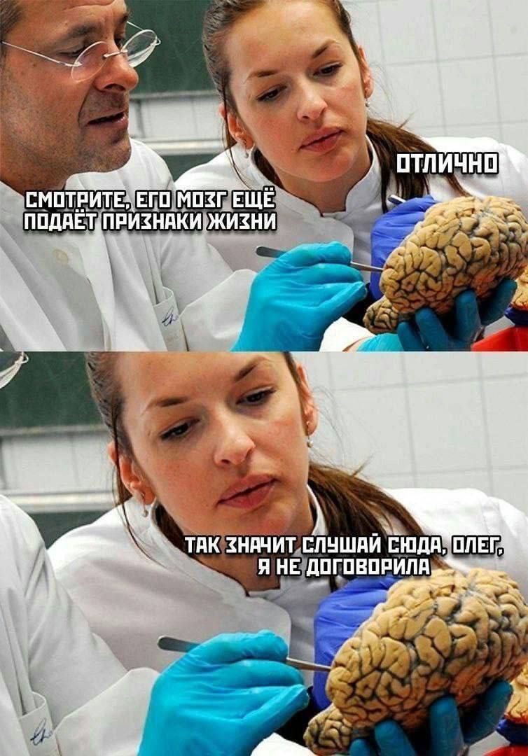 Отлично. Смотрите, его мозг ещё подаёт признаки жизни. Так значит, слушай сюда, Олег, я не договорила.