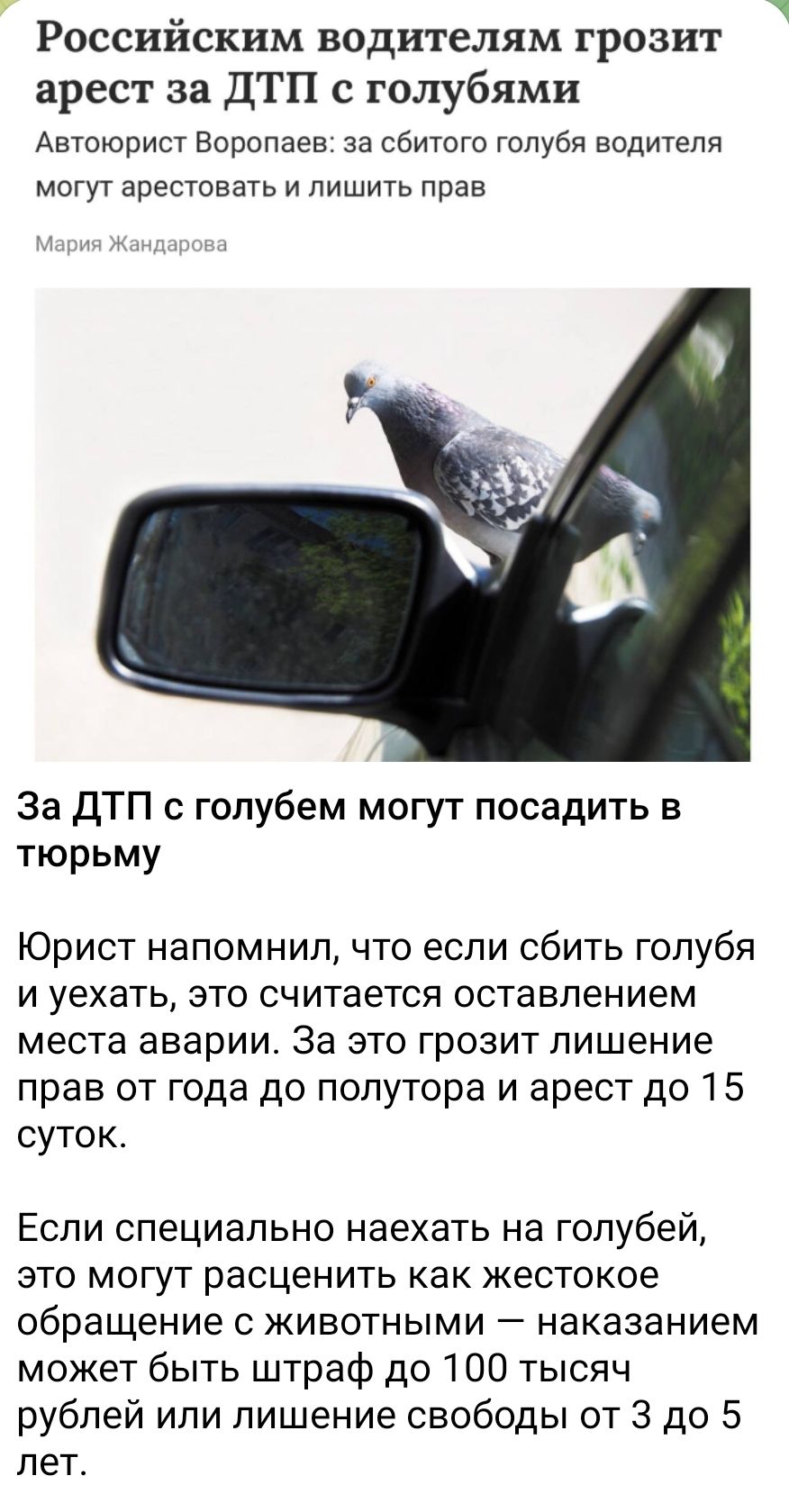 Российским водителям грозит арест за ДТП с голубями
Автор: Воропаев: за сбитого голубя водителя могут арестовать и лишить прав
Мария Жандарова

За ДТП с голубем могут посадить в тюрьму
Юрист напомнил, что если сбить голубя и уехать, это считается оставлением места аварии. За это грозит лишение прав от года до полуторa и арест до 15 суток.

Если специально наехать на голубя, это могут расценить как жестокое обращение с животными — наказанием может быть штраф до 100 тысяч рублей или лишение свободы от 3 до 5 лет.