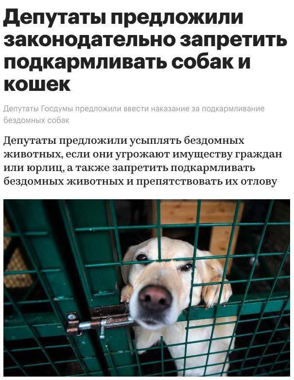 Депутаты предложили законодательно запретить подкармливать собак и кошек

Депутаты Госдумы предложили ввести наказание за подкармливание бездомных собак

Депутаты предложили усиливать бездомных животных, если они угрожают имуществу граждан или юрлиц, а также запретить подкармливать бездомных животных и препятствовать их отлову.