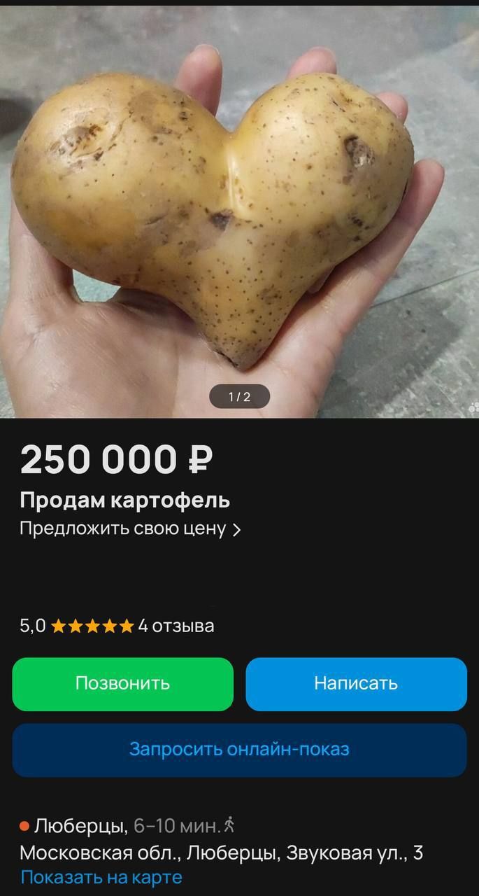 250 000 ₽
Продаю картофель
Предложить свою цену