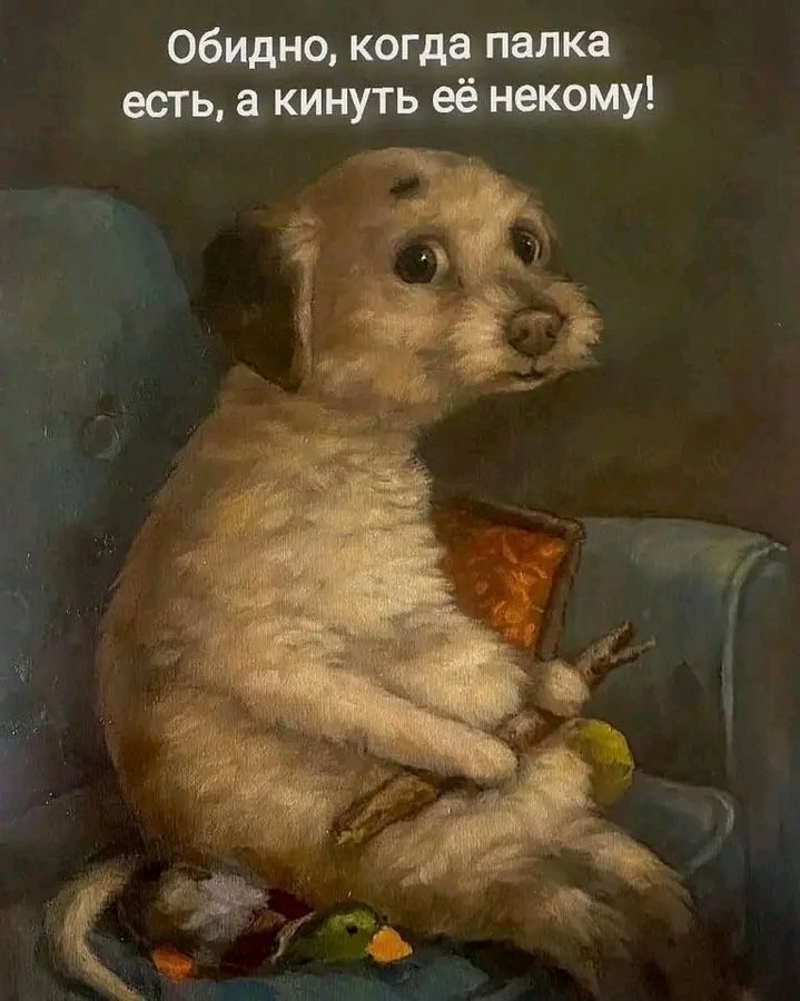 Обидно, когда палка есть, а кинуть её некому!