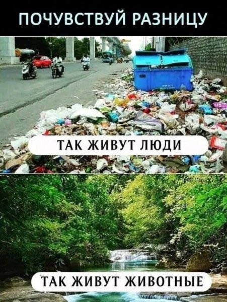 ПОЧУВСТВУЙ РАЗНИЦУ
ТАК ЖИВУТ ЛЮДИ
ТАК ЖИВУТ ЖИВОТНЫЕ
