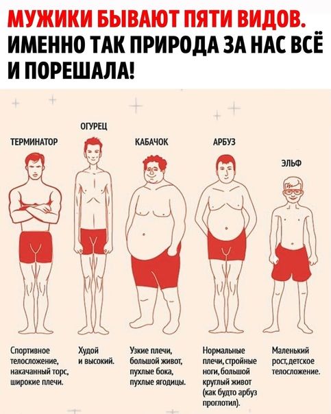 МУЖИКИ БЫВАЮТ ПЯТИ ВИДОВ. ИМЕННО ТАК ПРИРОДА ЗА НАС ВСЁ И ПОрешала!

ТЕРМИНАТОР
ОГУРЕЦ
КАБАЧОК
АРБУЗ
ЭЛЬФ