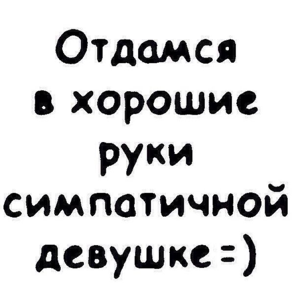 Отдамся в хорошие руки симпатичной девушке=)