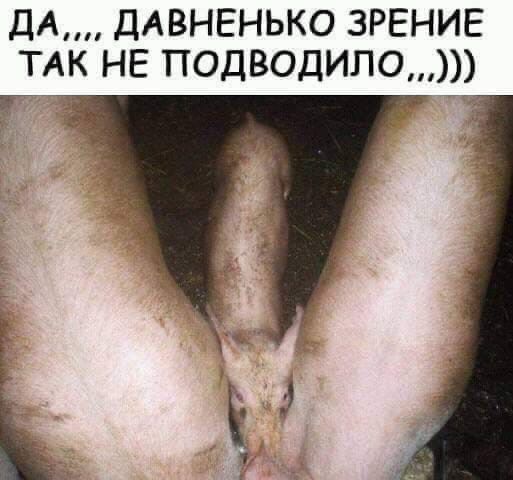 ДА,,,, ДАВНЕНЬКО ЗРЕНИЕ ТАК НЕ ПОДВОДИЛО...))))
