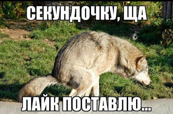 СЕКУНДОЧКУ, ЩА ЛАЙК ПОСТАВЛЮ...