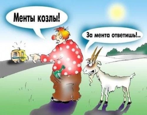 Менты козлы! За мента ответишь! ..