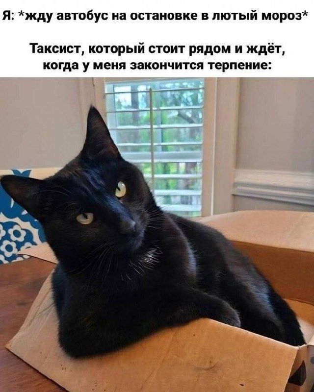 Я: *жду автобус на остановке в лютый мороз* Таксист, который стоит рядом и ждёт, когда у меня закончится терпение: