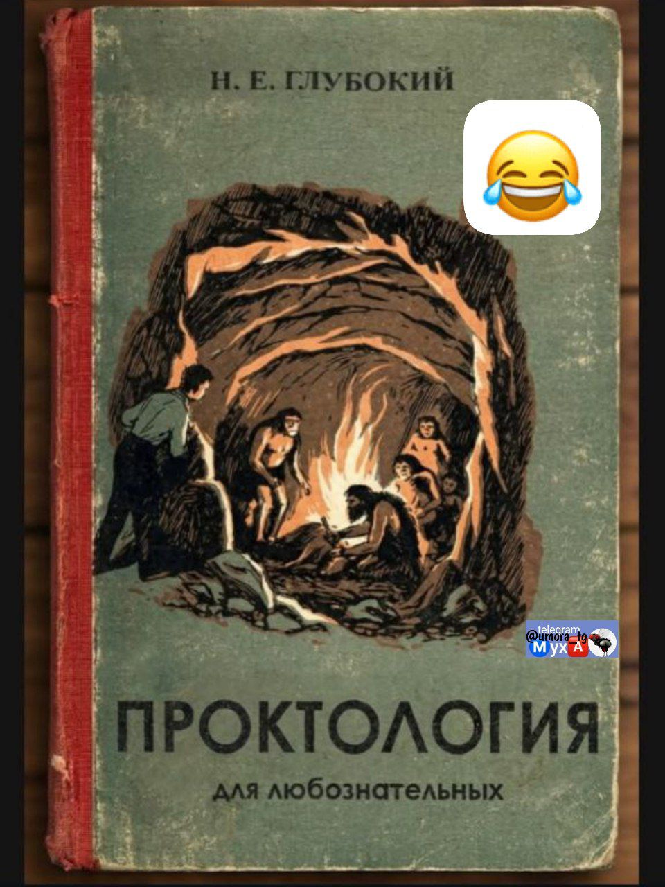 Н.Е. ГЛУБОКИЙ
ПРОКТОЛОГИЯ
ДЛЯ ЛЮБОЗНАТЕЛЬНЫХ