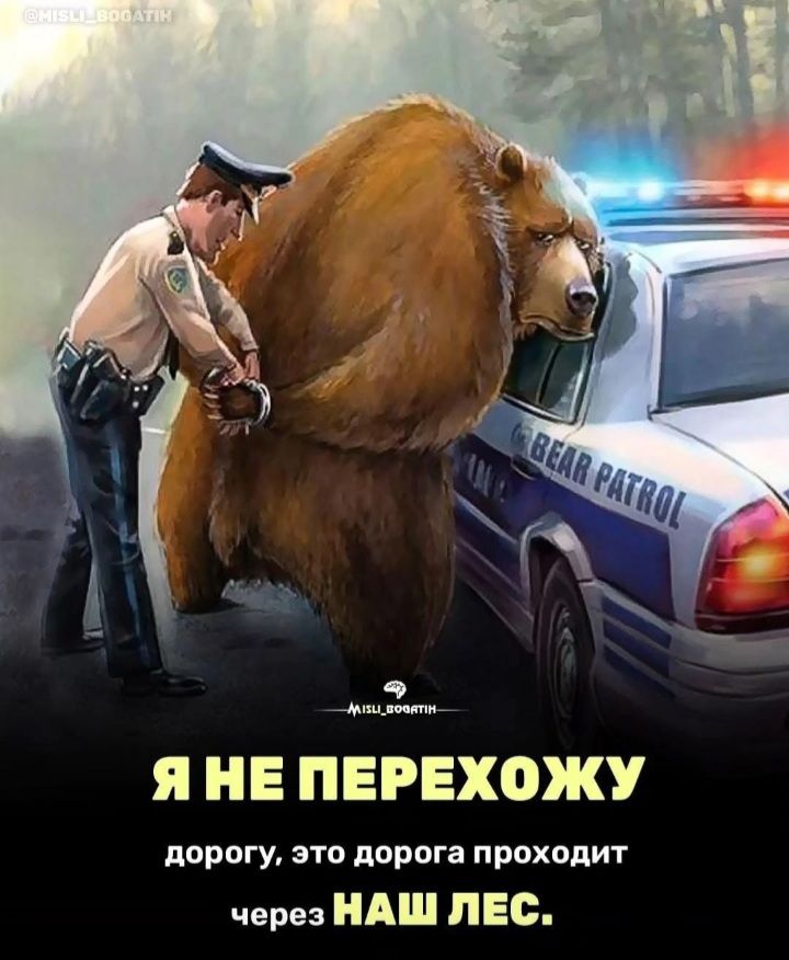 Я НЕ ПЕРЕХОЖУ дорогу, это дорога проходит через НАШ ЛЕС.
