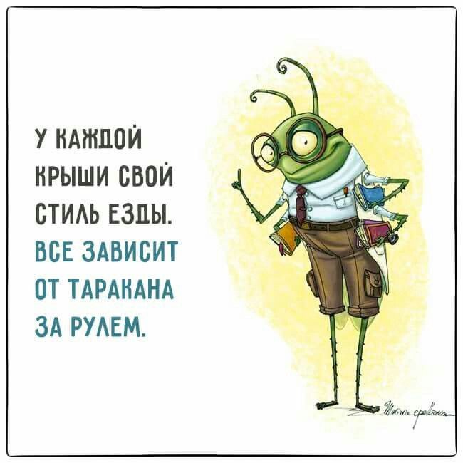 У каждой крыши свой стиль езды. Все зависит от таракана за рулем.