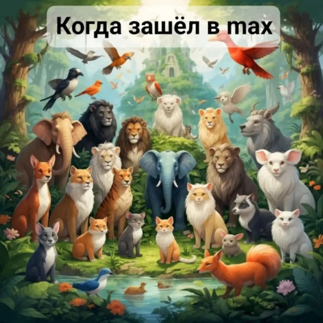 Когда зашёл в мак