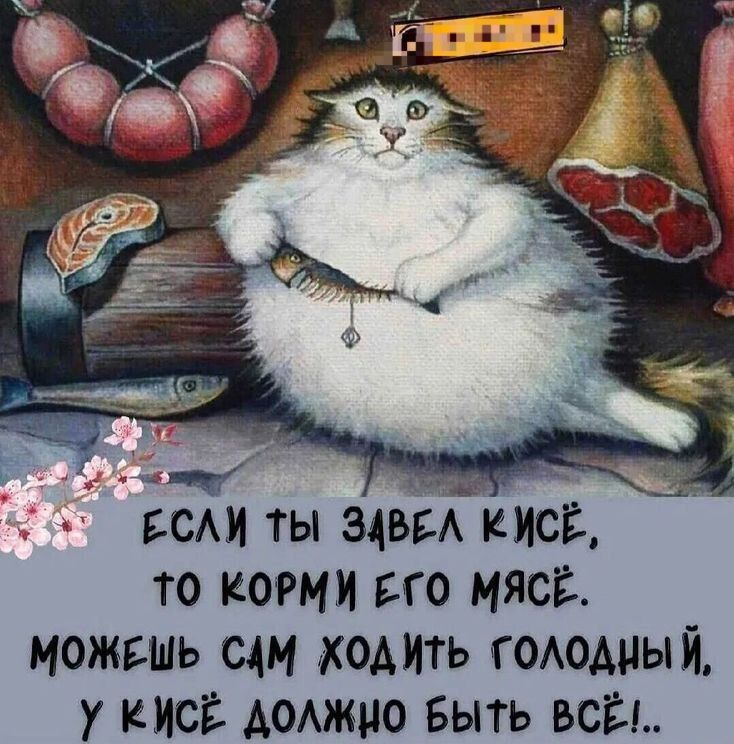 Если ты завёл киса, то корми его мясо. Можешь сам ходить голодный, у киса должно быть всё!