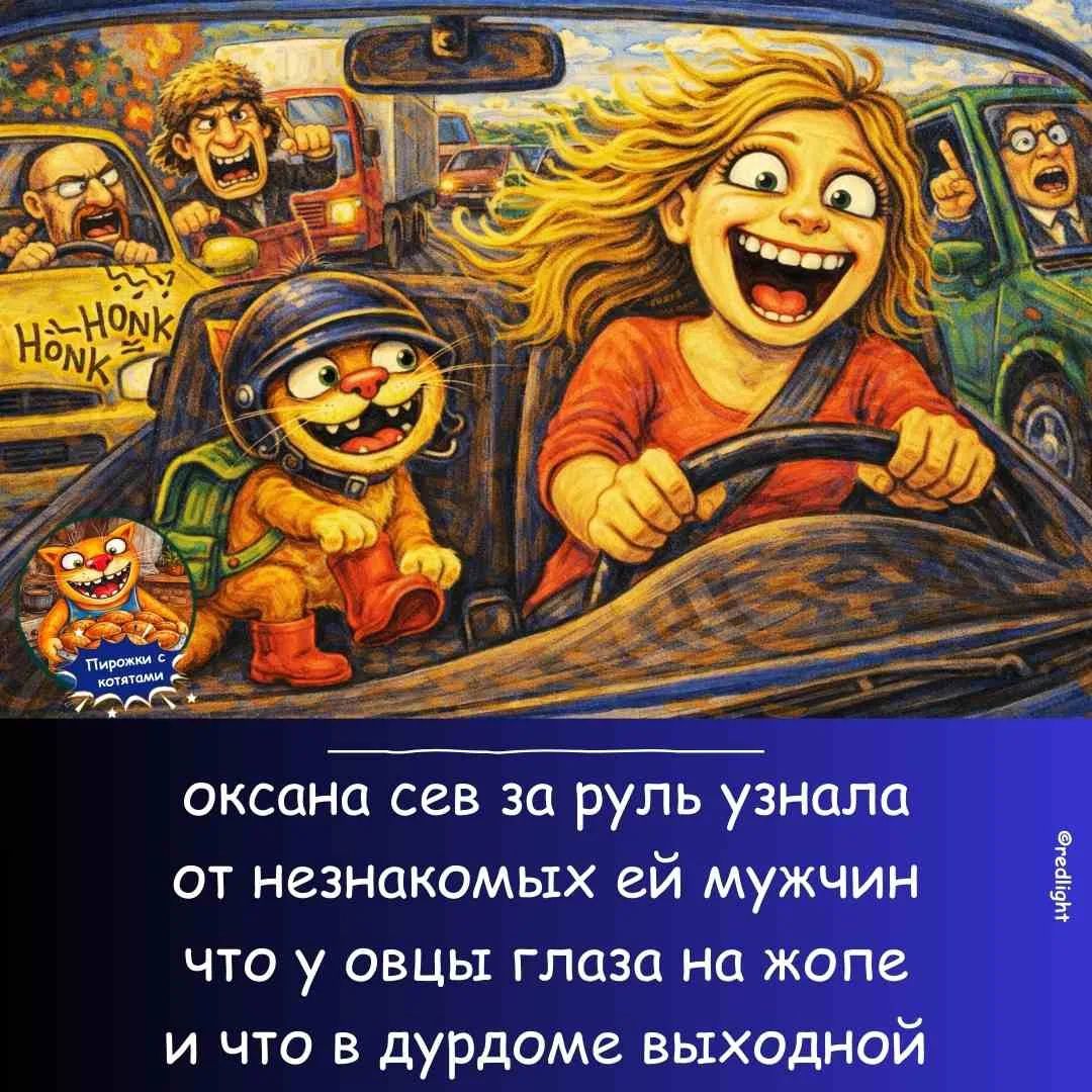 HONK HONK Пирожки с котятами оксана сев за руль узнала от незнакомых ей мужчин что у овцы глаза на жопе и что в дурдоме выходной