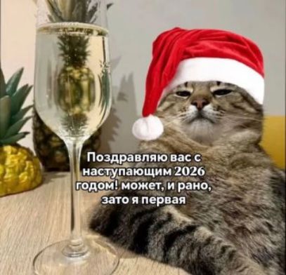 Поздравляю вас с наступающим 2026 годом! может, и рано, зато я первая