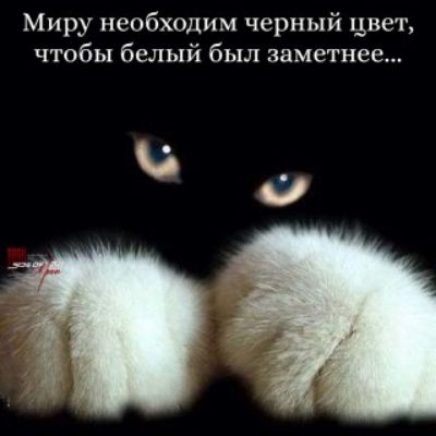 Миру необходим черный цвет, чтобы белый был заметнее...
