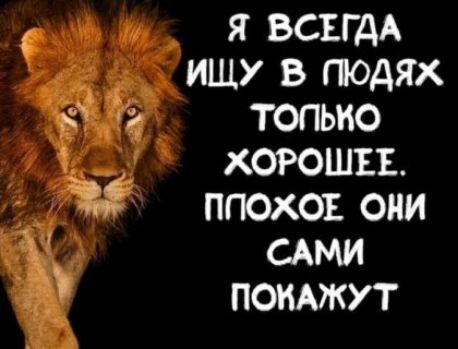 Я всегда ищу в людях только хорошее. Плохое они сами покажут.