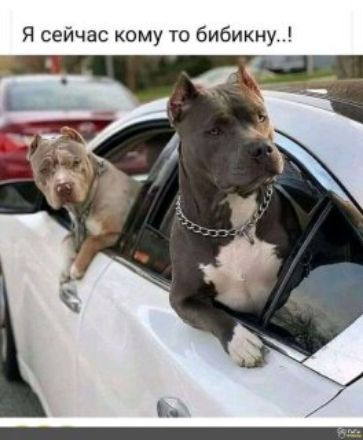 Я сейчас кому то бибикну..!