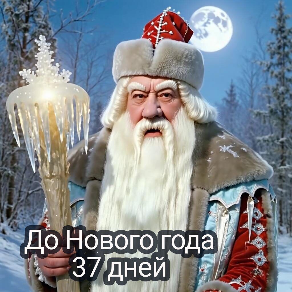 До Нового года 37 дней