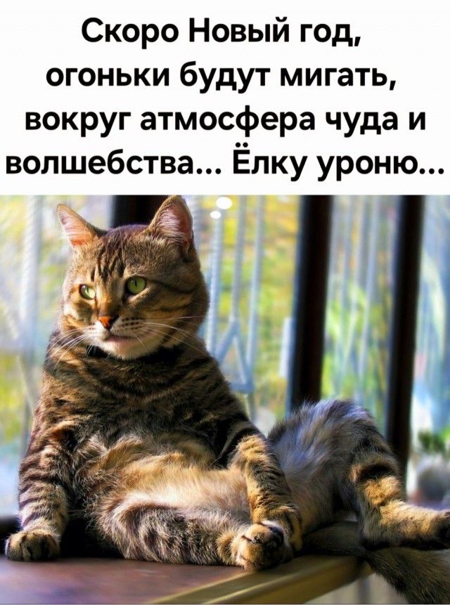 Скоро Новый год, огоньки будут мигать, вокруг атмосфера чуда и волшебства... Ёлку уроню...